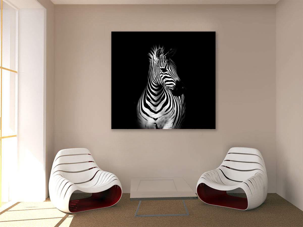 Zdjęcie - zebra na czarnym tle