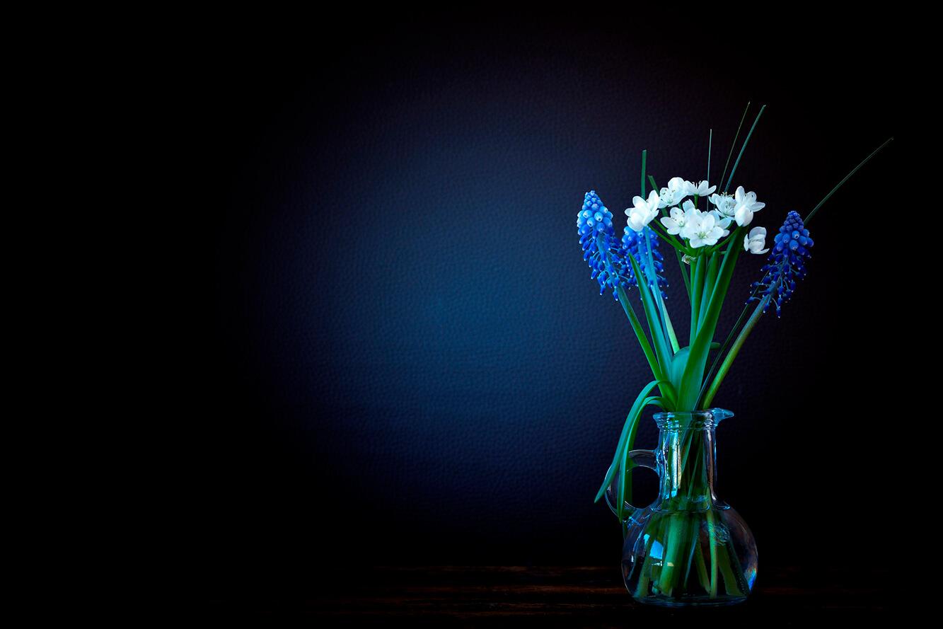 Bukiet Muscari