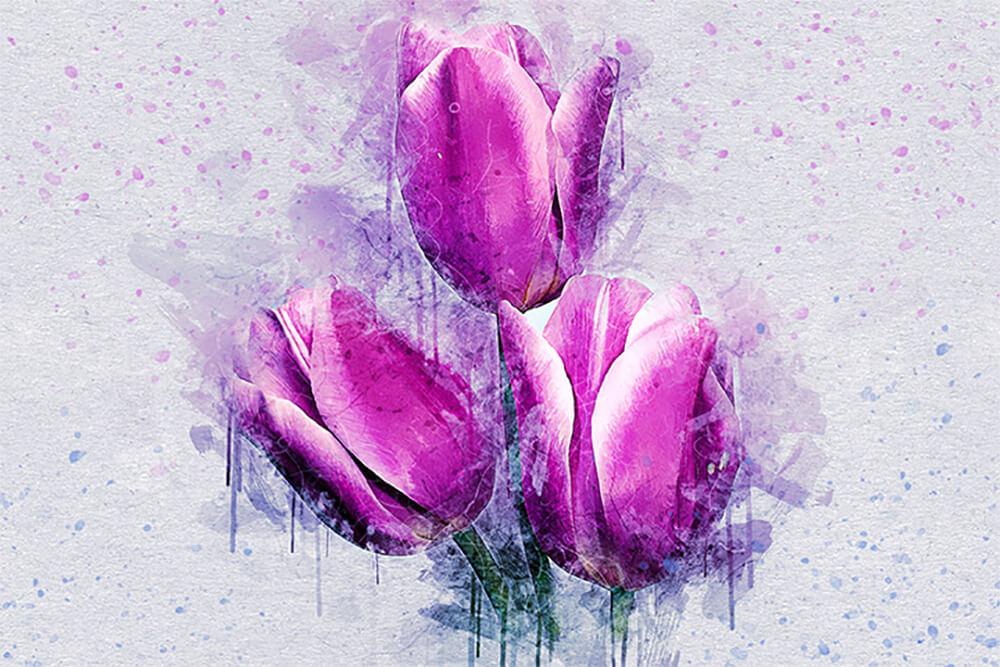 Akwarela tulipany