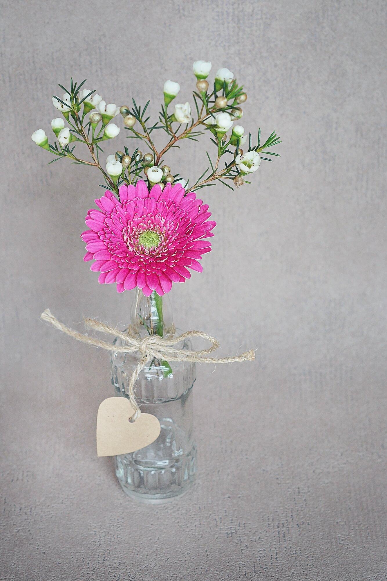 Gerbera w wazonie