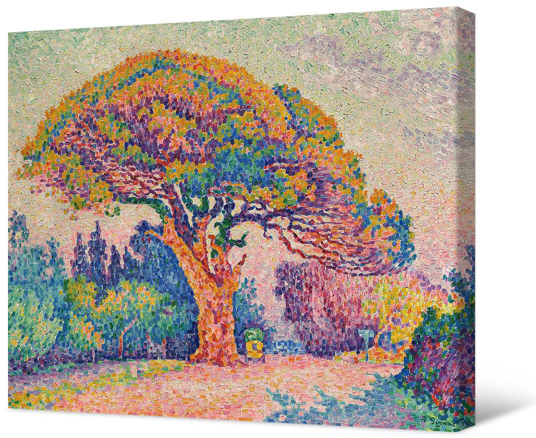 Paul Signac - Sosna w Saint-Tropez